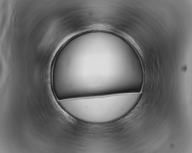 X0000101141339200806270727
