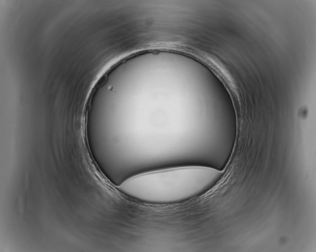 X0000101141340200806270727