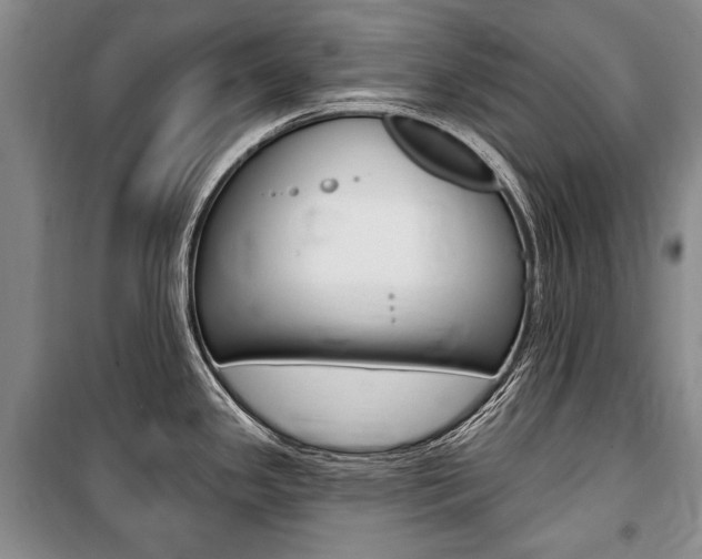 X0000101141341200806270727