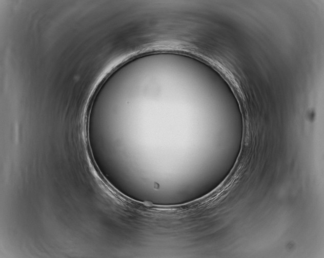 X0000101141342200806270727
