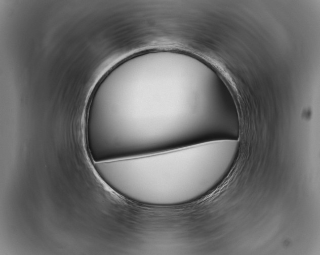 X0000101141343200806270727