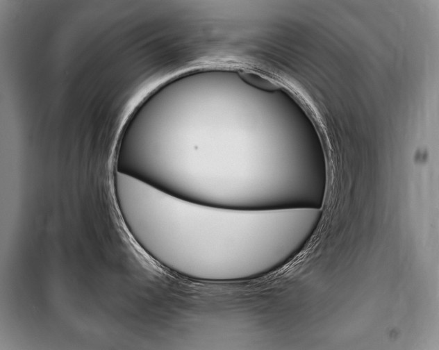 X0000101141344200806270728