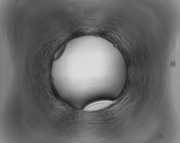 X0000101141345200806270727