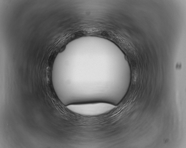 X0000101141346200806270727