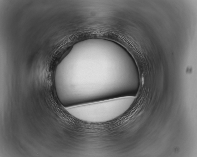 X0000101141347200806270727