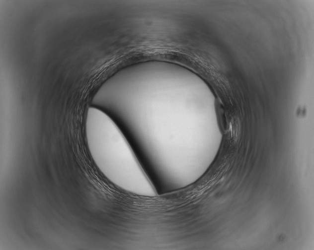 X0000101141348200806270727