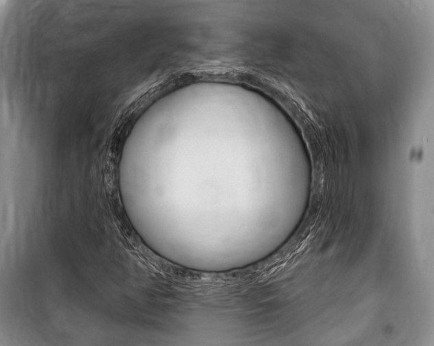 X0000101141350200806270727