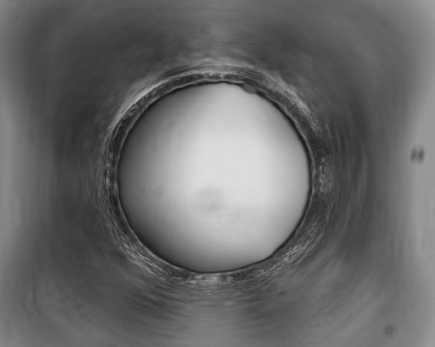 X0000101141352200806270727