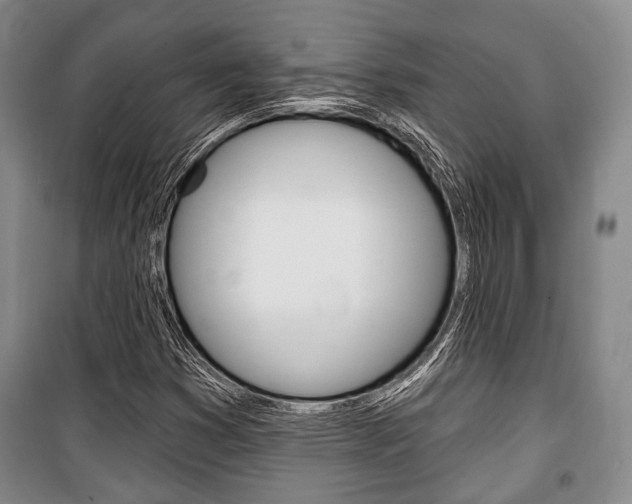 X0000101141353200806270727