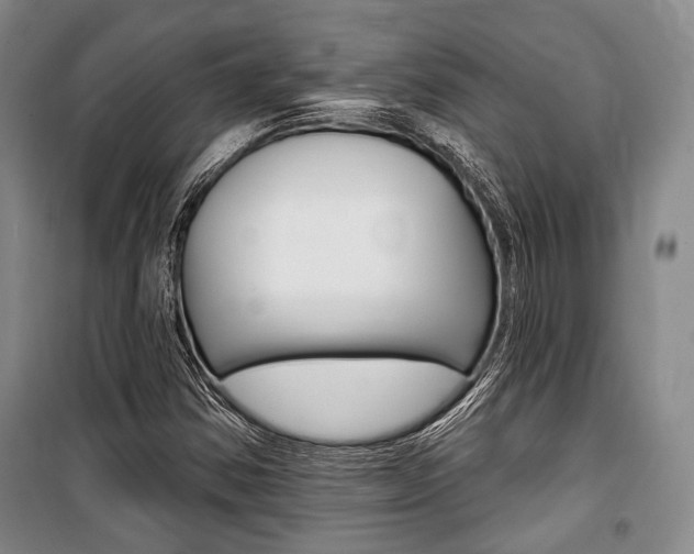 X0000101141354200806270727