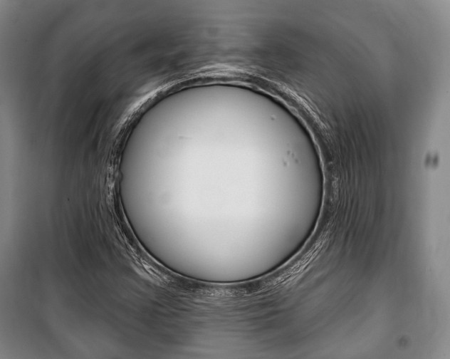 X0000101141355200806270727