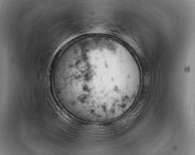 X0000101141356200806270726