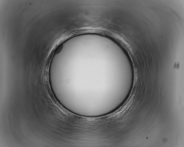 X0000101141357200806270726