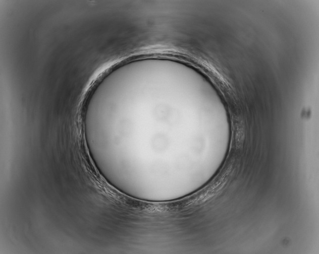 X0000101141358200806270726
