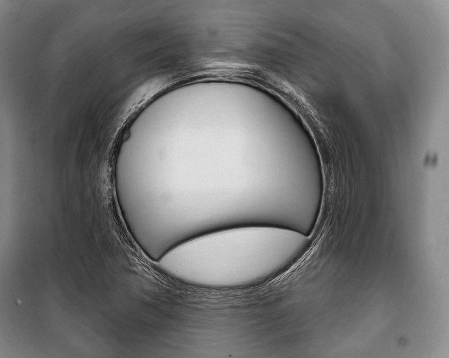 X0000101141362200806270726