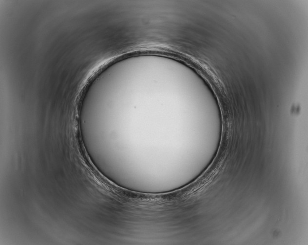 X0000101141363200806270726