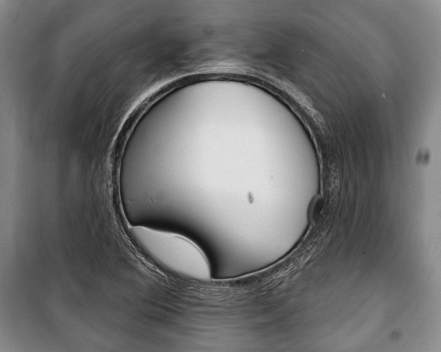 X0000101141364200806270726
