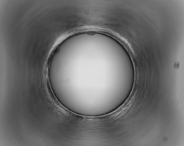 X0000101141365200806270726