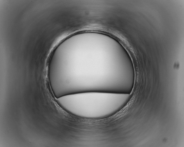X0000101141366200806270726