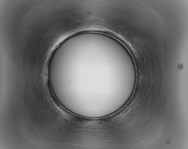 X0000101141367200806270726