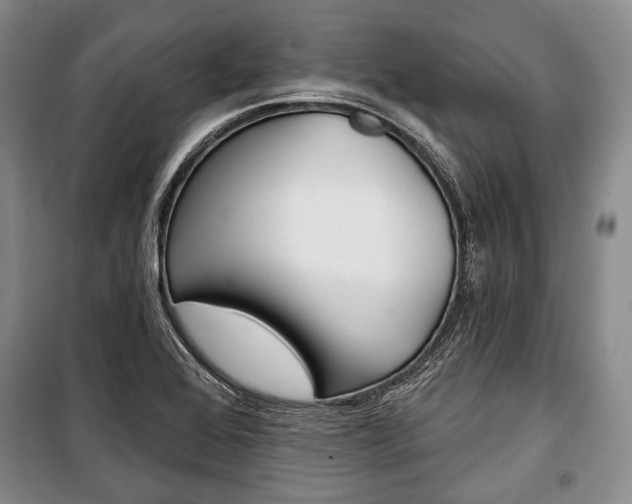 X0000101141368200806270726