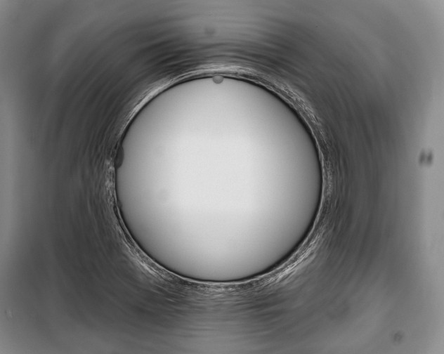 X0000101141369200806270726