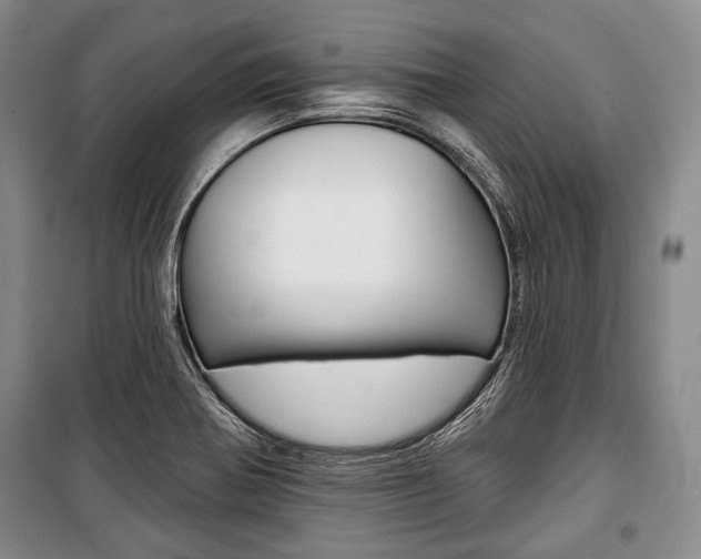X0000101141370200806270726