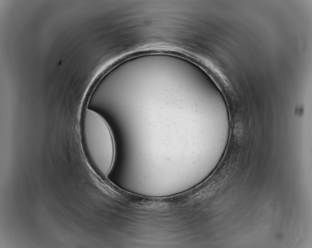 X0000101141372200806270726