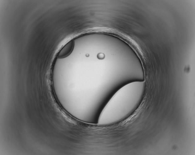 X0000101141373200806270726