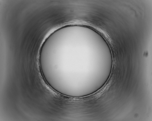 X0000101141374200806270726