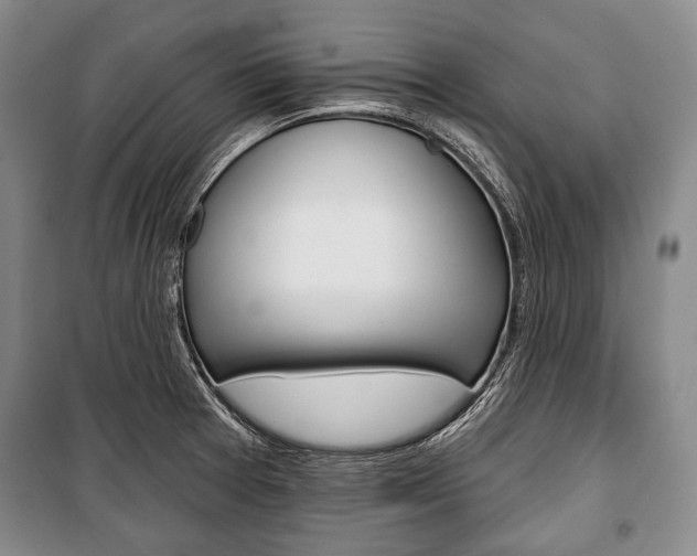 X0000101141377200806270726