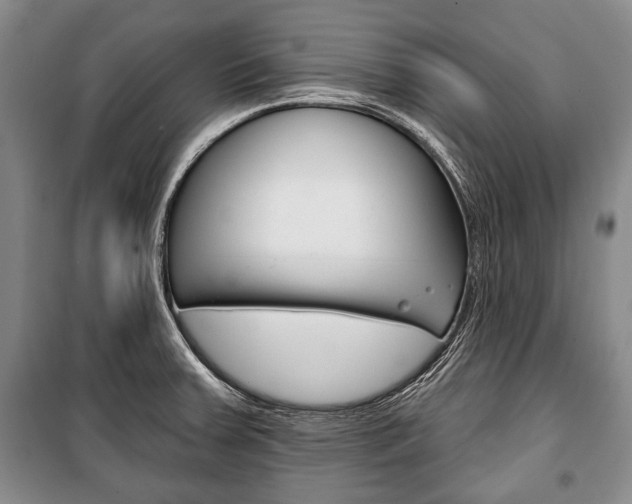 X0000101141379200806270726