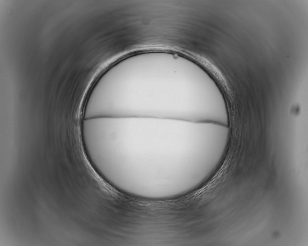 X0000101141380200806270726