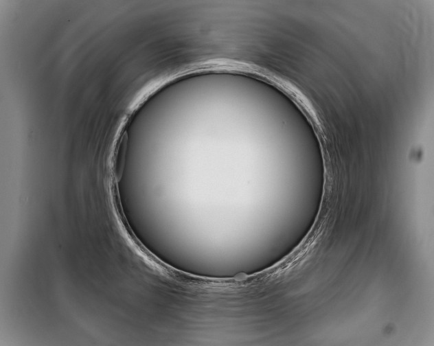 X0000101141381200806270726