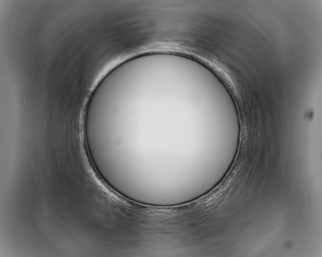 X0000101141382200806270726