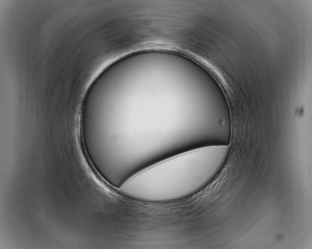 X0000101141383200806270726