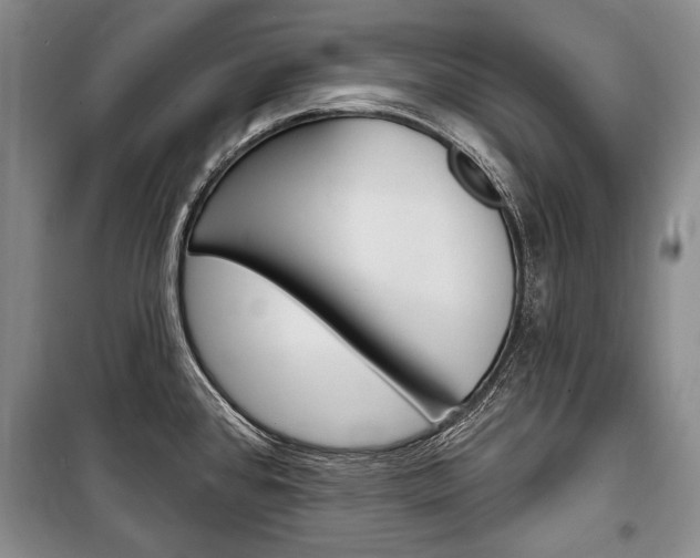 X0000101141384200806270726