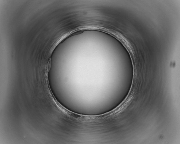 X0000101141385200806270726