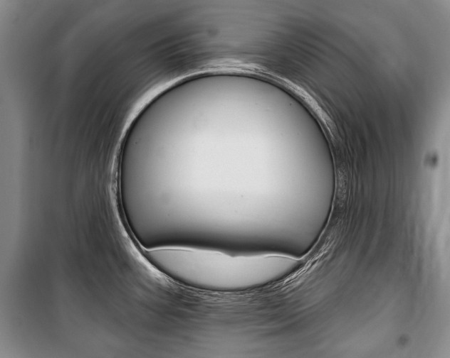 X0000101141387200806270726