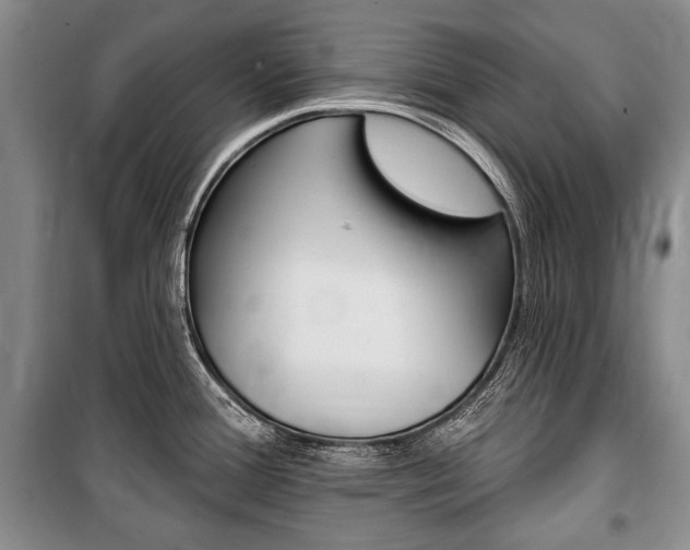 X0000101141388200806270726