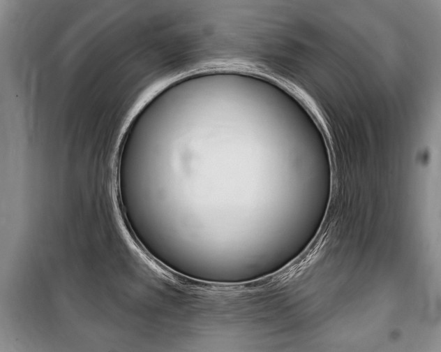 X0000101141389200806270726