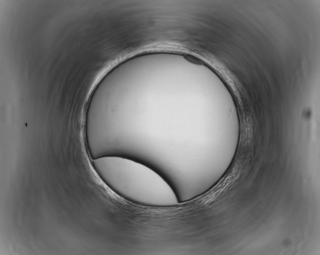 X0000101141390200806270726