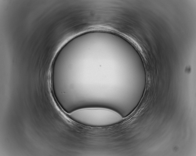 X0000101141391200806270726
