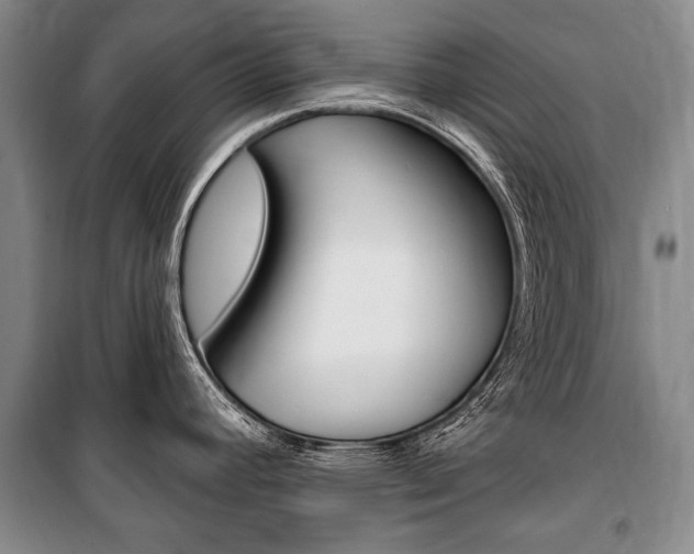 X0000101141392200806270726