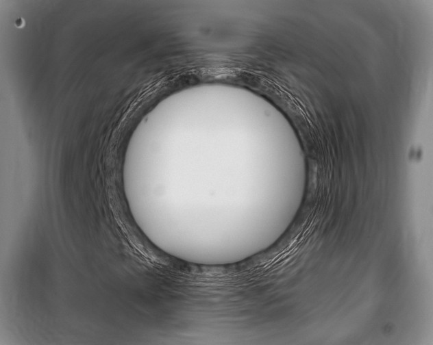 X0000101141393200806270725