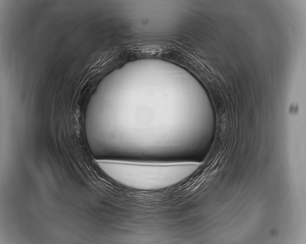 X0000101141394200806270725