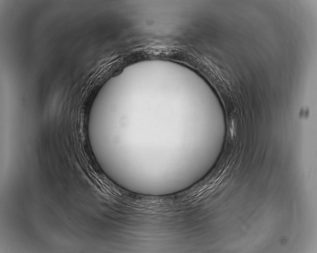 X0000101141396200806270725