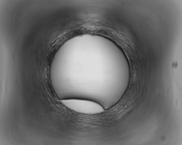X0000101141397200806270725