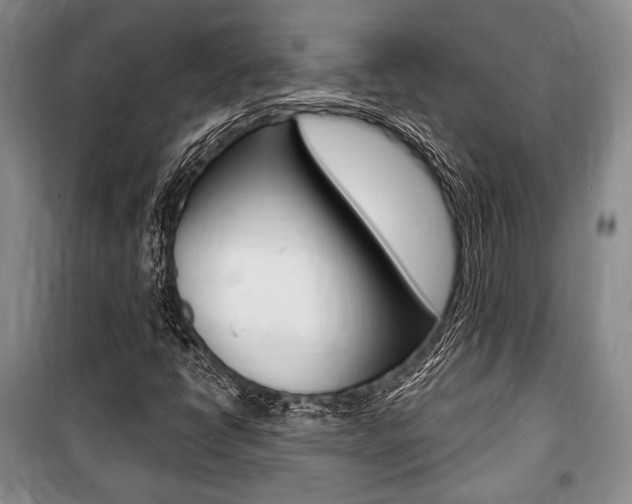 X0000101141398200806270725