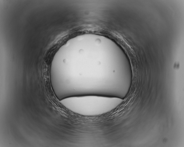 X0000101141399200806270725